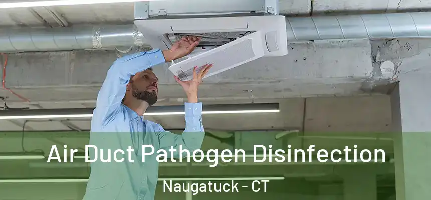  Air Duct Pathogen Disinfection Naugatuck - CT