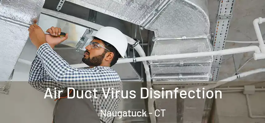  Air Duct Virus Disinfection Naugatuck - CT