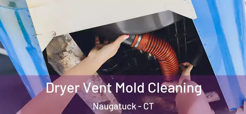 Dryer Vent Mold Cleaning Naugatuck - CT