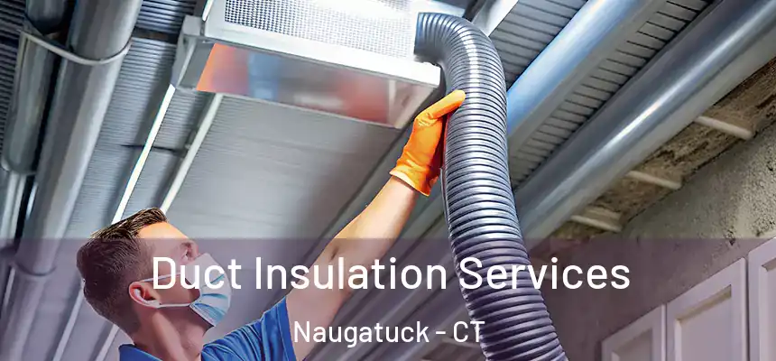  Duct Insulation Services Naugatuck - CT