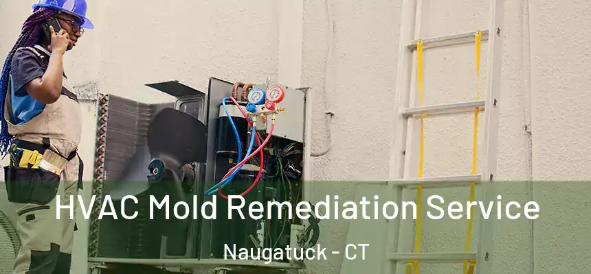  HVAC Mold Remediation Service Naugatuck - CT