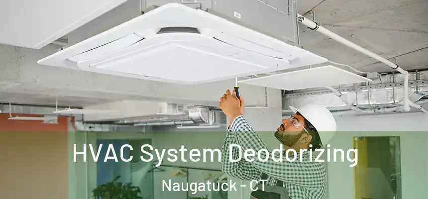 HVAC System Deodorizing Naugatuck - CT