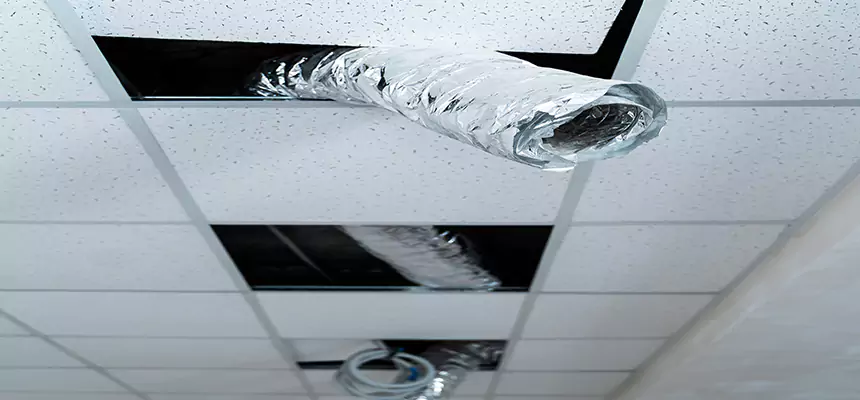 Our Air Duct Pet Hair Removal Services in Naugatuck, CT