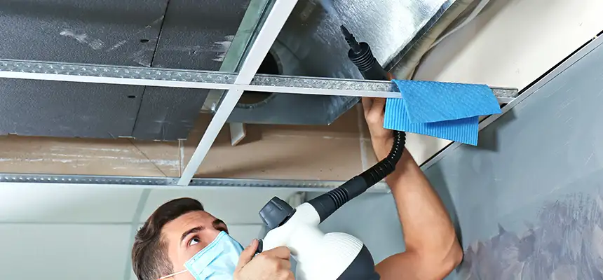Our Air Duct Rodent Removal Services in Naugatuck, CT