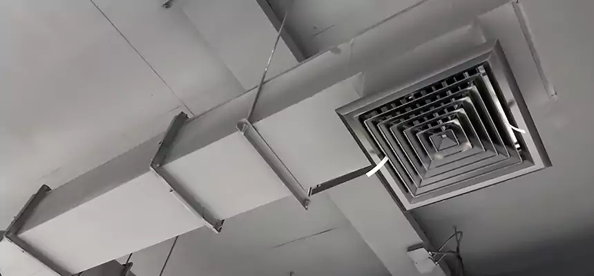 Our Rodent Droppings In Vents Services in Naugatuck, CT