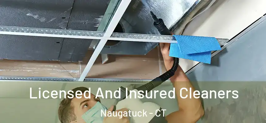Licensed And Insured Cleaners Naugatuck - CT
