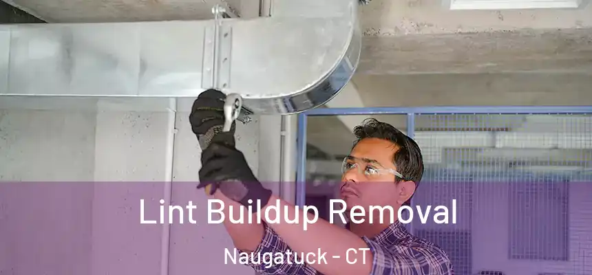  Lint Buildup Removal Naugatuck - CT