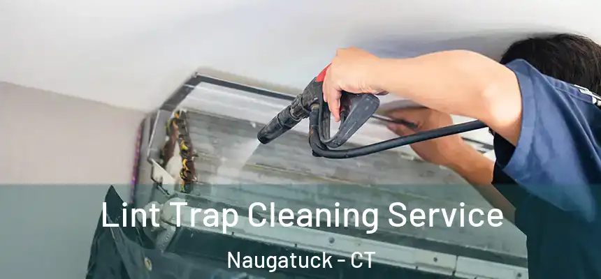 Lint Trap Cleaning Service Naugatuck - CT