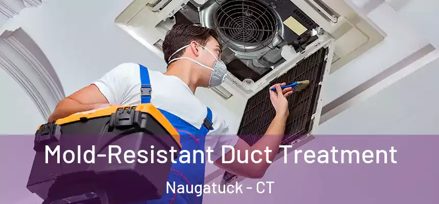  Mold-Resistant Duct Treatment Naugatuck - CT