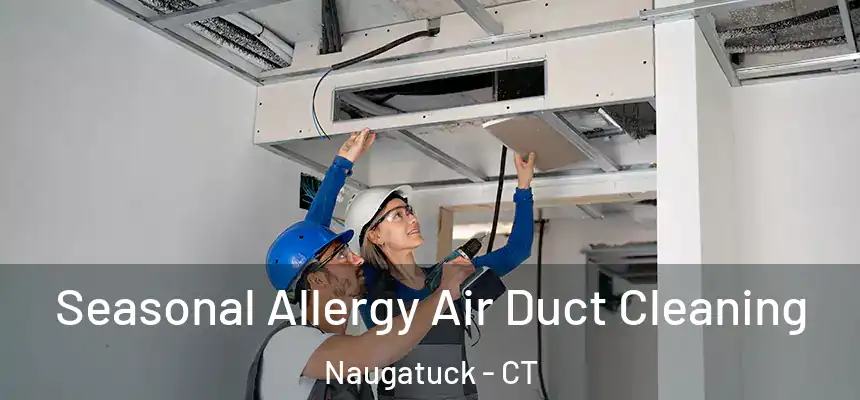 Seasonal Allergy Air Duct Cleaning Naugatuck - CT
