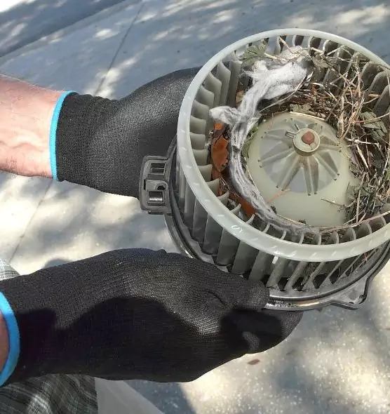 About Air Duct Mice Removal in Naugatuck, CT