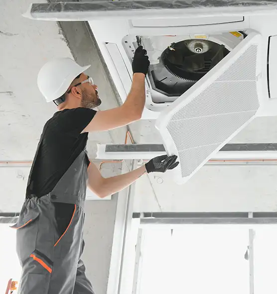 About Air Duct Rodent Removal in Naugatuck, CT