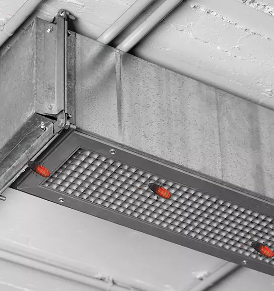 Affordable Insect Removal from Air Ducts in Naugatuck, CT