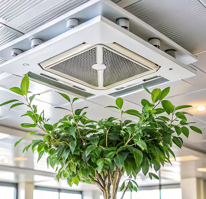 Why Homeowners & Businesses Trust Us in Naugatuck, CT