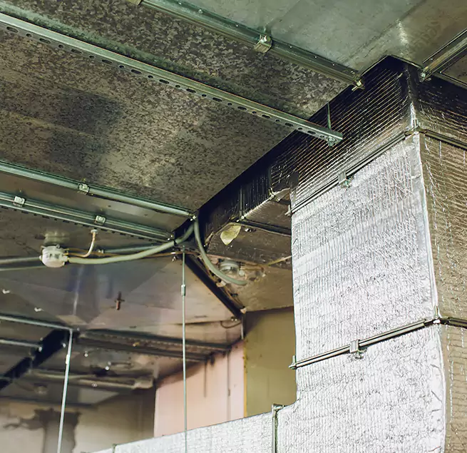 Why Homeowners & Businesses Trust Us in Naugatuck, CT?